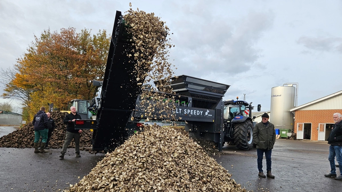 Roens Dag er tilbage. I år er det den 22. oktober. Ligesom i 2024 er den på Elmegaarden i Frederiks. Arkivfoto