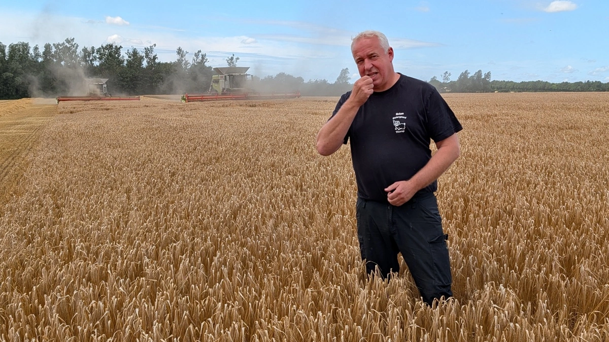 Brian Sørensen er ovenud tilfreds med de første bulletiner fra mejetærskernes udbyttemålere, som siger 8-9 ton vårbyg pr. hektar på den gode JB 2-4 jord.