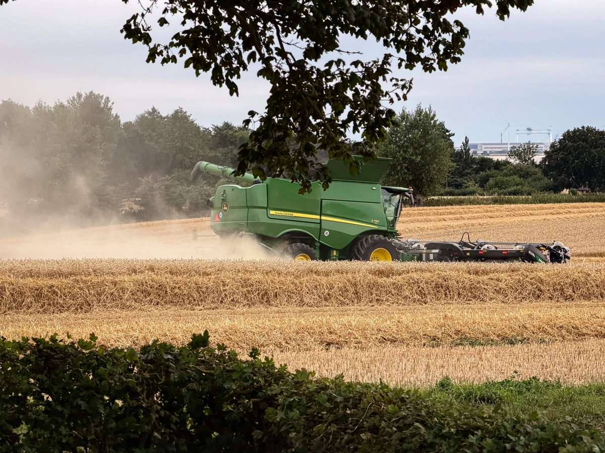 Efter et par ustadige dage vendte vejret på Hindsholm i denne uge og blev perfekt høstvejr. Vækstsæsonen på halvøen har været tør, hvorfor man blandt andet hos Jan Lorentzen i Viby har kunnet spare svampe- og lusesprøjtninger.