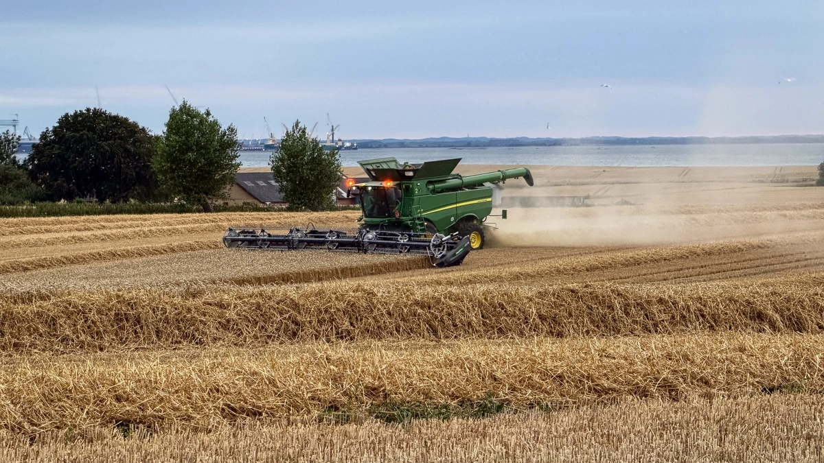 I baggrunden anes det gamle skibsværft »Lindø«, som ligger ud til Odense Fjord. I dag er værftet omdannet til en gigantisk erhvervspark, som blandt andet huser virksomheder, der leverer elementer til havvindmøller. 