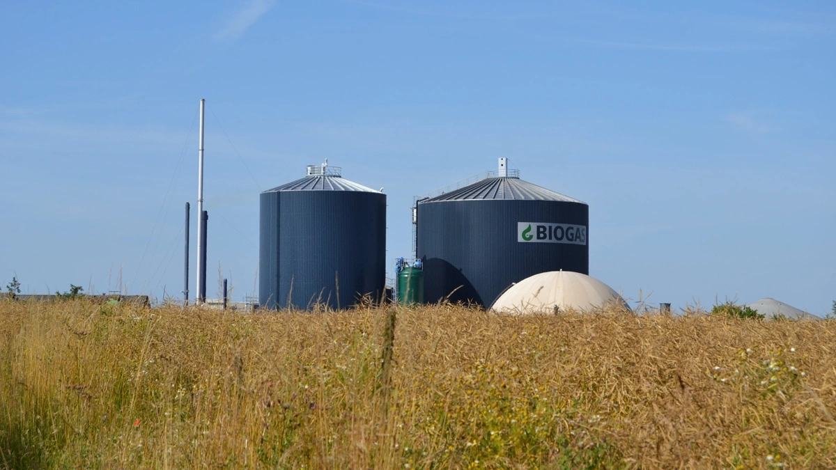 De endelige opgørelser fra Energinet viser, at biogasproduktionen i juli svarede til 100 procent af Danmarks gasforbrug. Foto: Colourbox