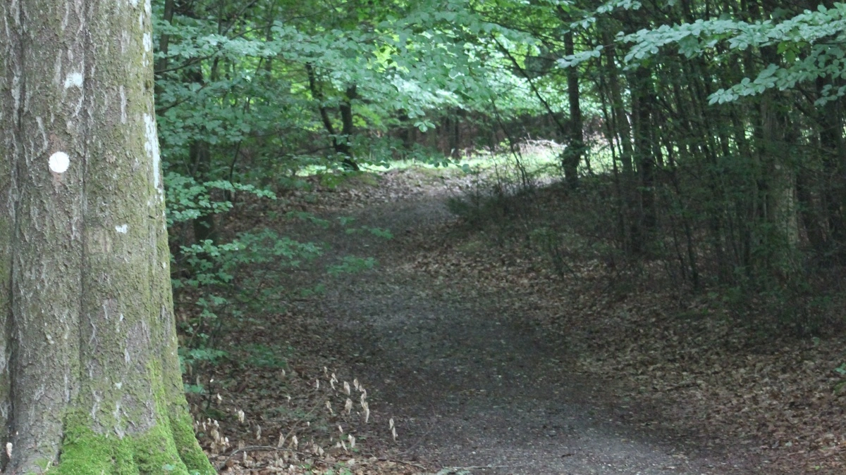 Foto: Anne Wolfenberg