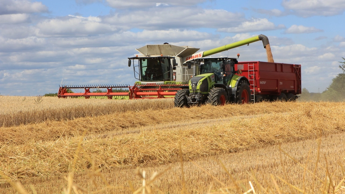 Anders Jokumsens Lexion 770'er er den ene af de to mejetærskere, der står for høsten af de cirka 1.300 hektar. Hans far, Karl Ole Jokumsen, har fået leveret en ny Claas Lexion 8700 TT til sæsonen 2026.  