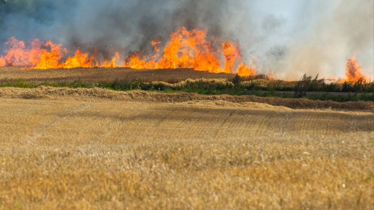 Branden på billedet har ikke noget med den aktuelle brand at gøre. Foto: Colourbox