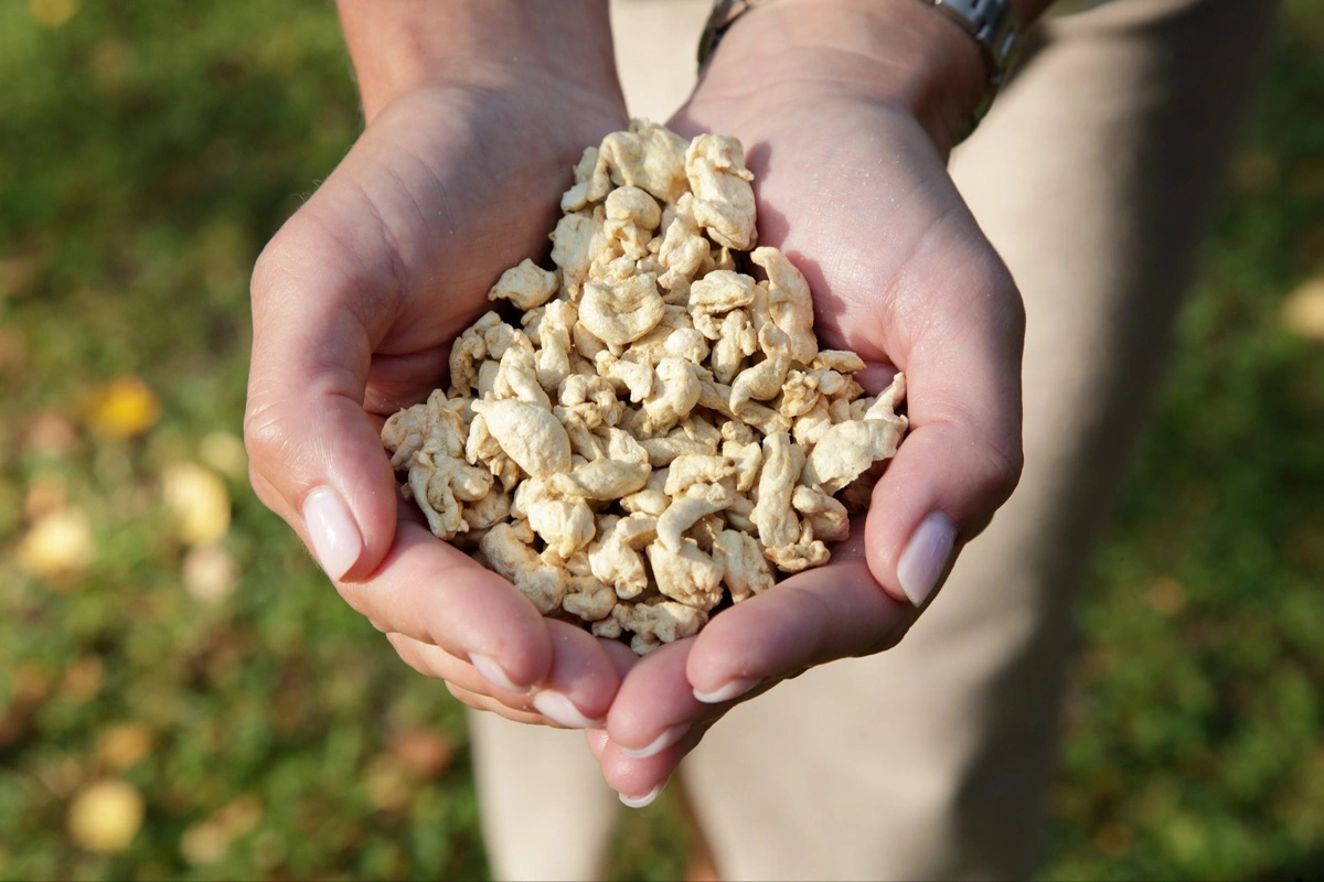 Den finske teknologi blev udviklet for fire år siden, og interesserede virksomheder kan bruge den til selv at producere plantebaserede proteiner lokalt.