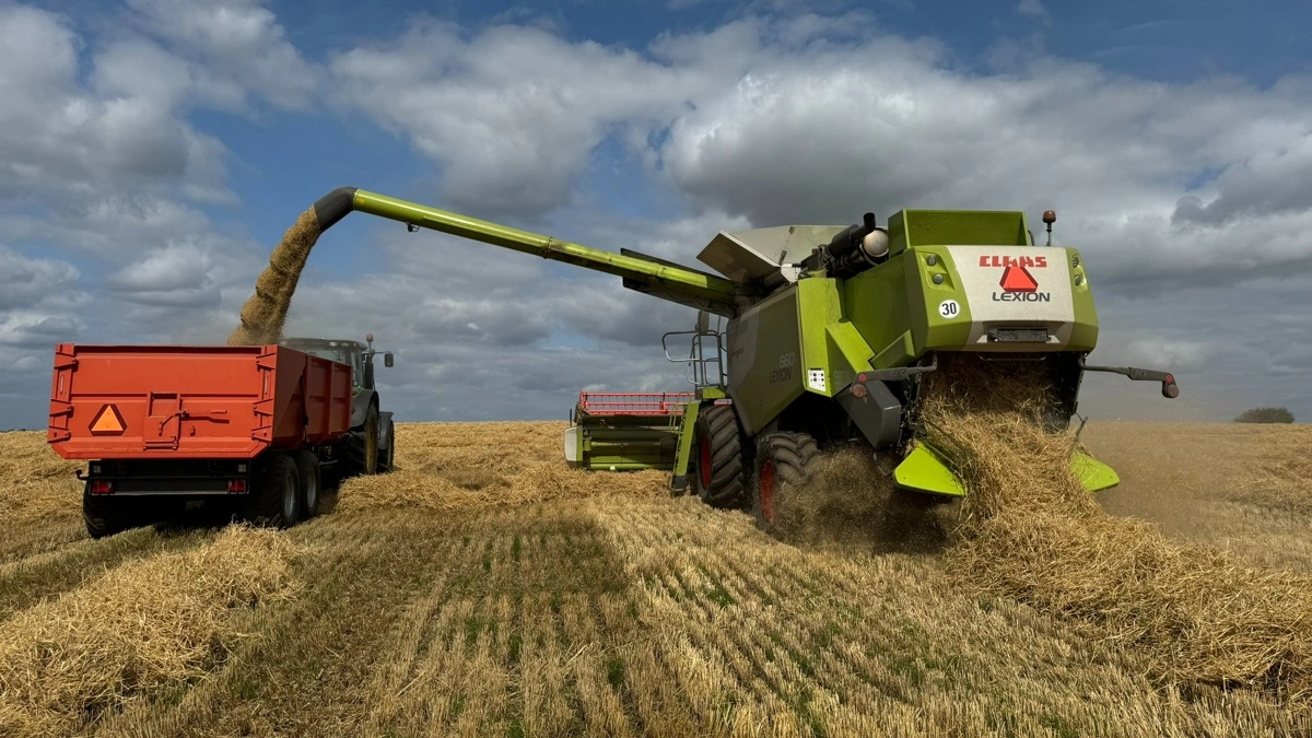 Salgsdirektør hos Danish Agro vurderer, at den gennemsnitlige hektolitervægt ligger cirka to procent højere i vårsæden end sidste år. Foto: Kasper Stougård