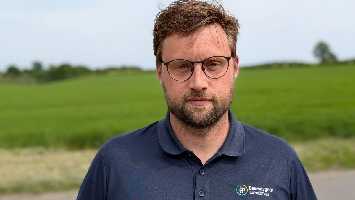 Arkivfoto: Morten Ipsen
