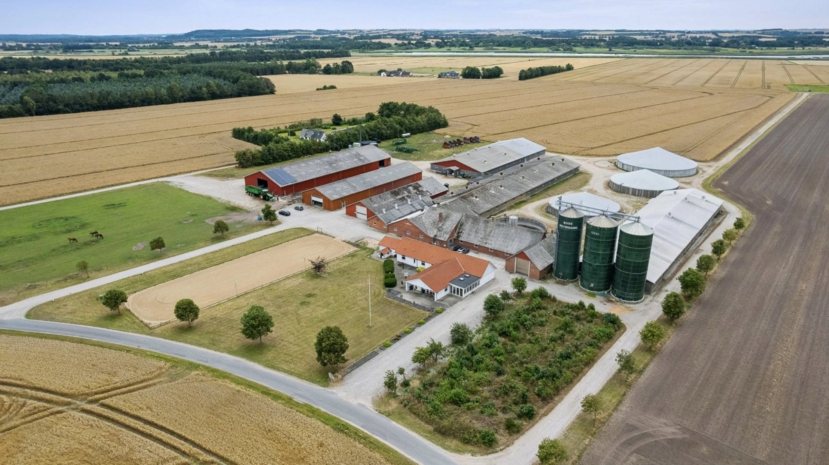 Bode Vestergård ved Ørsted i Norddjurs Kommune er sat til salg for 78 millioner kroner. Bedriften omfatter knap 280 hektar jord og en produktion med omkring 750 søer samt salg af 30 kg-grise. Fotos fra salgsopstillingen: Nybolig Landbrug Gustav Winther