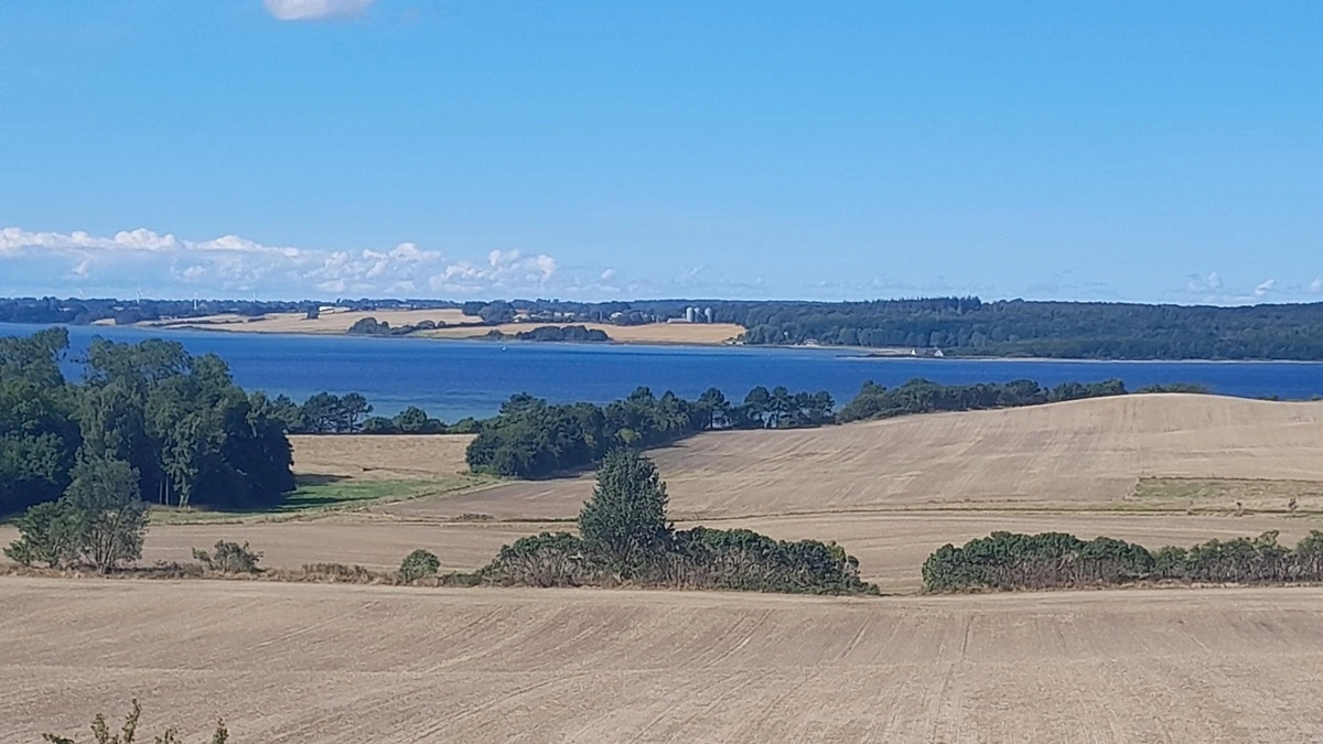 Kravene til kvælstofudledningen til Isefjorden betyder, at store landbrugsarealer i Holbæk Kommune er omfattet af den grønne trepart. Arkivfoto
