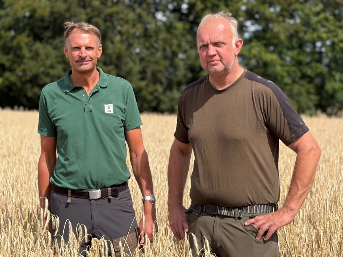 Benjamin Foged, konsulent hos KWS (tv.), der står bag den korte rugsort Erebor, kiggede forbi på høstdagen hos Mogens Feldthusen (th.). Begge er meget tilfredse med den nye sort. Foto: Henriette Lemvig