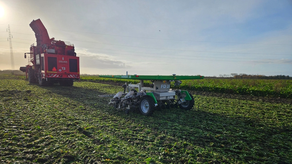 FarmDroid dropper USA-satsningen, fordi amerikanske landmænd har adgang til mere kemi, som svækker robotternes business-case. Arkivfoto