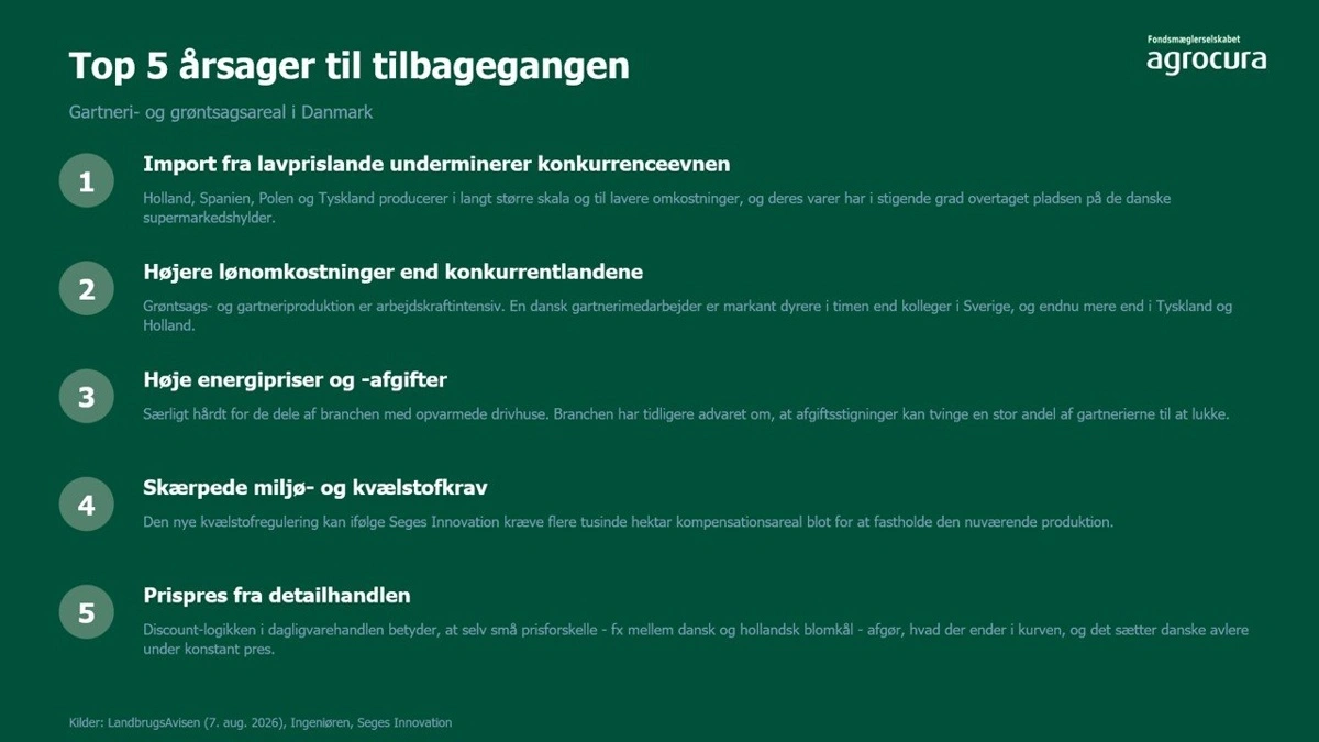Top-5-årsager til tilbagegangen i produktionen af danske grøntsager.