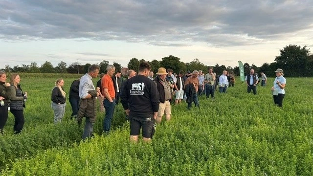 Den 1. september bliver der lejlighed til at se majssorter og græsblandinger på demonstrationsarealerne på Assendrup Hovedgaard ved Haslev. Billedet er fra sidste års arrangement, hvor Gurli Klitgaard fra DLF gennemgår parcellerne med græsblandinger. Foto: DLG 