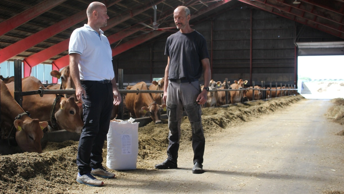 Jan Halskov fra Destek anbefaler toksinbindere i foderrationen 365 dage om året. Torben Keinicke er mælkeproducent på Sydsjælland og har anvendt dem i sin besætning i tre år. For ham giver det stabilitet. Fotos: Destek 