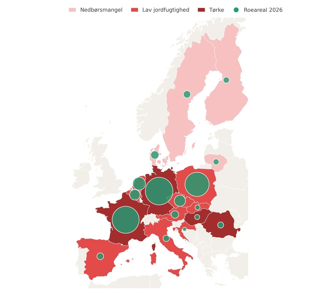 Figur 2: Det europæiske tørkeindeks set i forhold til landenes areal med sukkerroer. Jo større cirkel, desto større areal med sukkerroer. 

Kilde: USDA FAS, Sugar Annual EU (april 2026) og Copernicus European Drought Observatory (21.-31. juli 2026). Egen bearbejdning.
