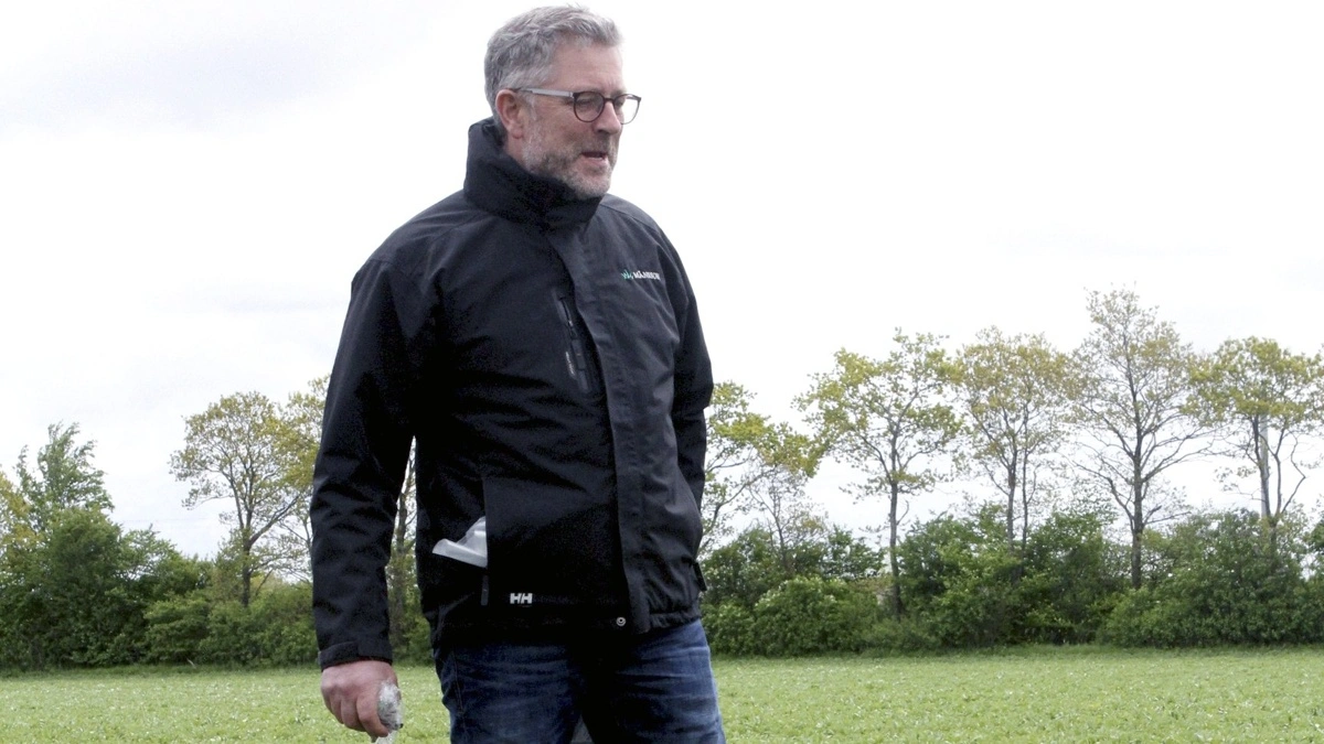Nye kvælstofkrav kan gøre dansk grøntsagsproduktion urentabel og tvinge avlere som Axel Månsson til mere brak, højere omkostninger og lukning. Arkivfoto: Bøje Østerlund