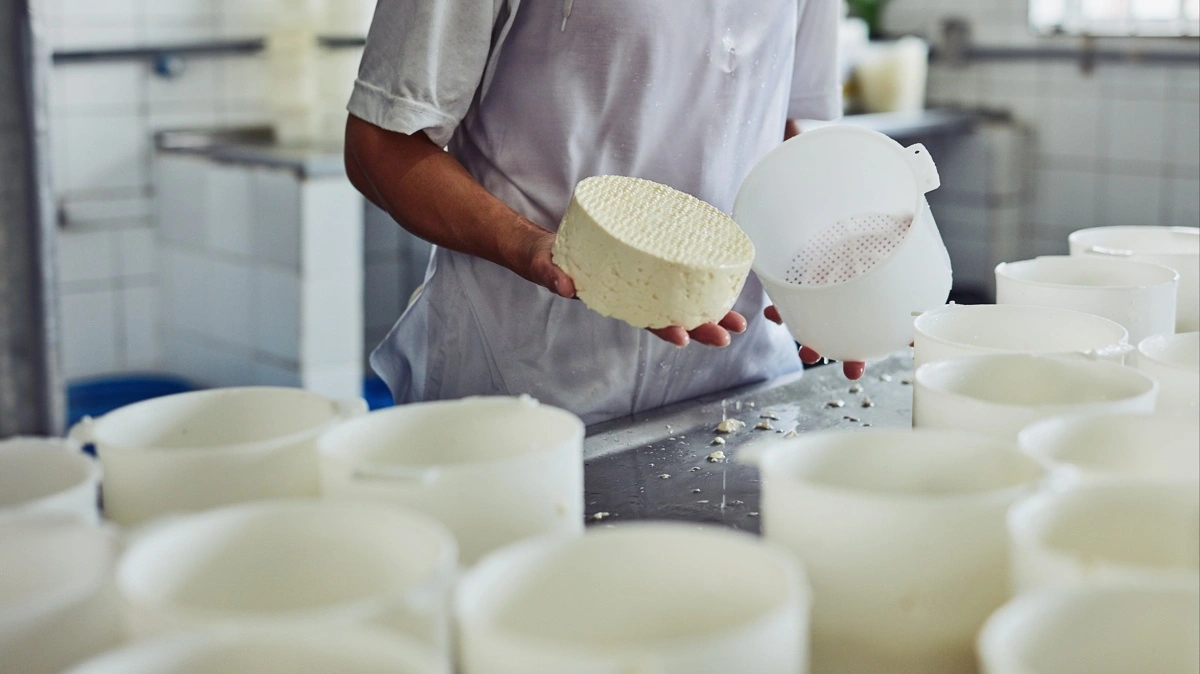 Arla advarer om mangel på kvalificeret arbejdskraft i britisk landbrug og fødevareproduktion og vil nå 100.000 unge med nye uddannelsestiltag i Storbritannien. Foto: Colourbox