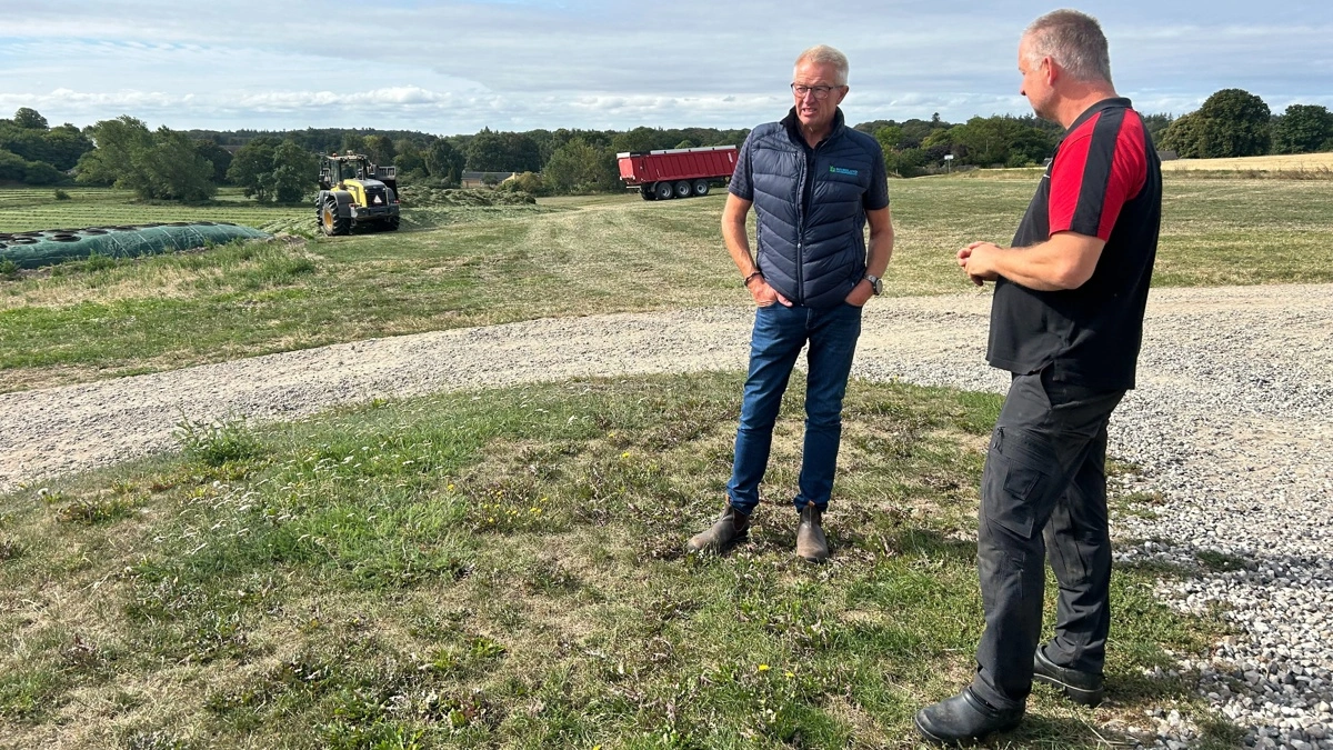 Mælkeproducent Sten Hansen (th.) har taget en strategisk beslutning om store grovfoderlagre, mens formand for Udvalget for Planter og Natur i Djursland Landboforening, Peter A. Poulsen (tv.), vurderer, at man skal tænke i at etablere vanding, hvor det er muligt, hvis somre som den, vi har været igennem bliver standarden. Fotos: Djursland Landboforening