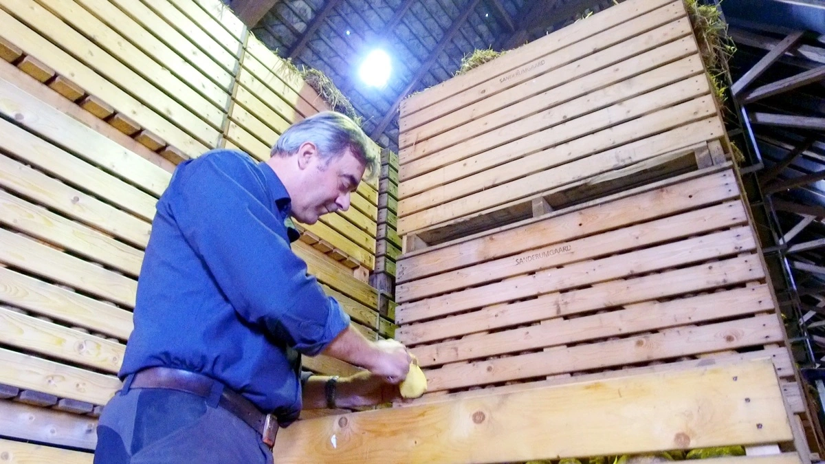 Medejer af VT Agro, Henrik Terp, vurderer, at det i fremtiden bliver endnu vigtigere at tilgodese både driftsøkonomi og miljøbelastning i driften. Og med BbLeap-teknologi på sprøjten er VT Agro nået langt, lyder det. Arkivfoto: Alexander Dornwirth