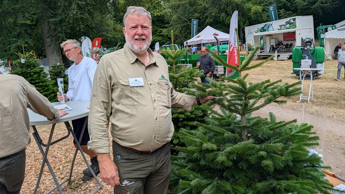- Der er en mindre mængde juletræer i år, og vi ser pæne prisstigninger, lød det fra direktøren i Dansk Juletræer, Claus Jerram Christensen, på årets Langesømesse.