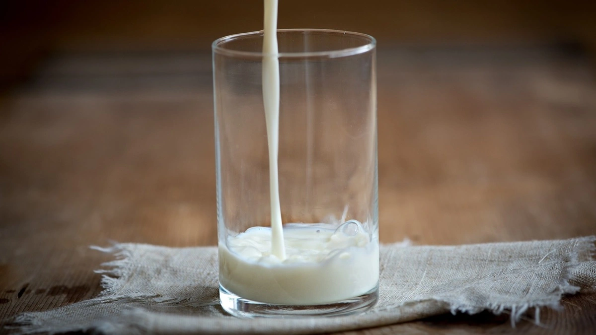 Sådan ser Arlas nye mælkevarianter ud, der er tiltænkt mellemmåltider, madpakken eller når man generelt er på farten. Foto: Pixabay