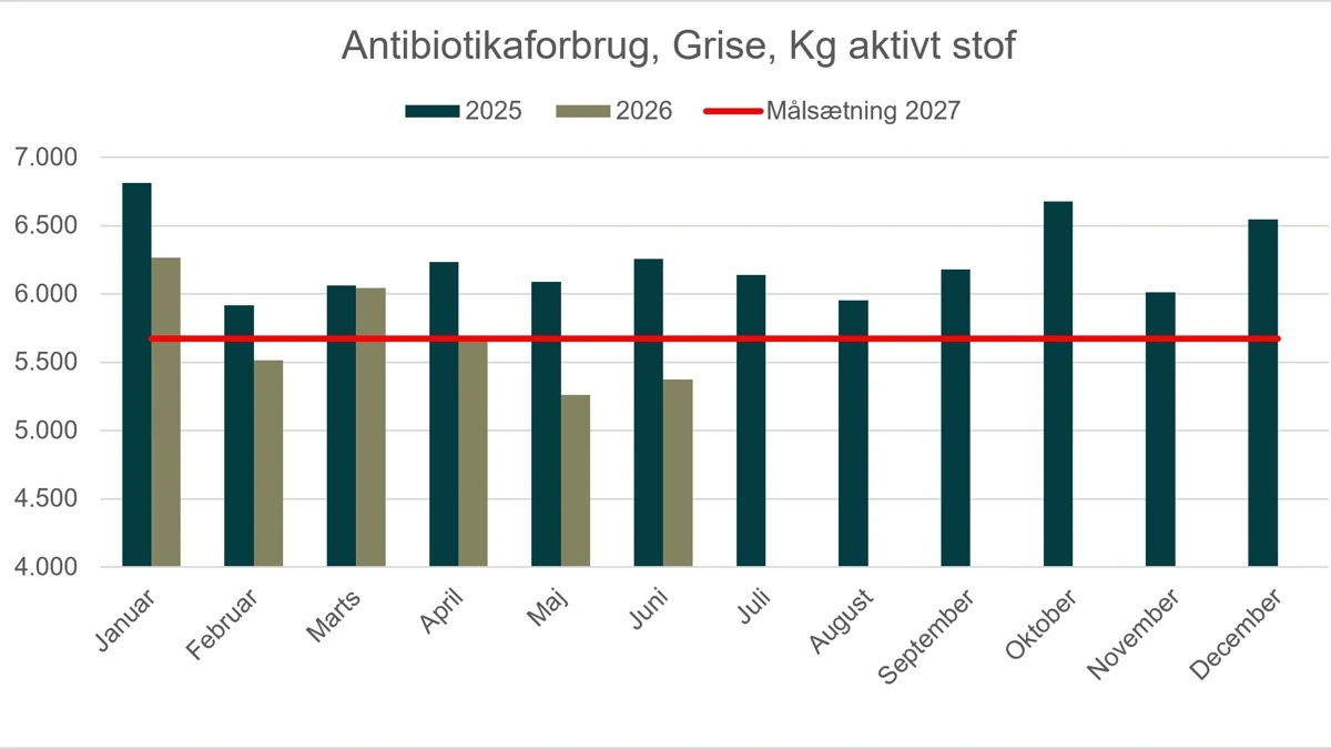 Udviklingen i antibiotikaforbruget viser et markant fald i første halvår af 2026. Kilde: Landbrug & Fødevarer