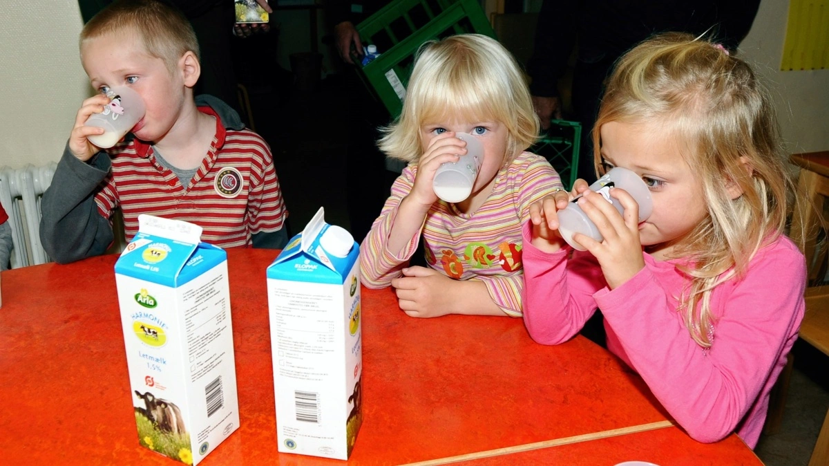 Mælkens sundhedsværdi er meget mere end blot kalk og protein, viser forskning, der fokuserer på samspillet mellem fx de mange bioaktive stoffer i mælkeprodukter. Arkivfoto