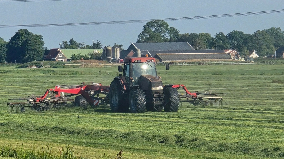 I tirsdags blev der arbejdet intensivt med slætgræs i det nordlige Holland.