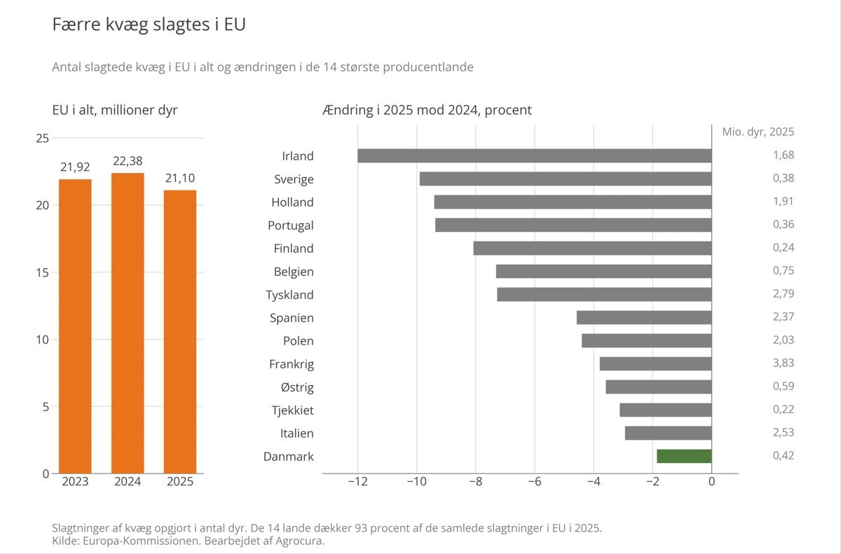 Figur 2: Antal slagtede kvæg i EU i alt og ændringen fra 2024 til 2025 i de 14 største producentlande, der dækker 93 procent af slagtningerne. Kilde: Europa-Kommissionen