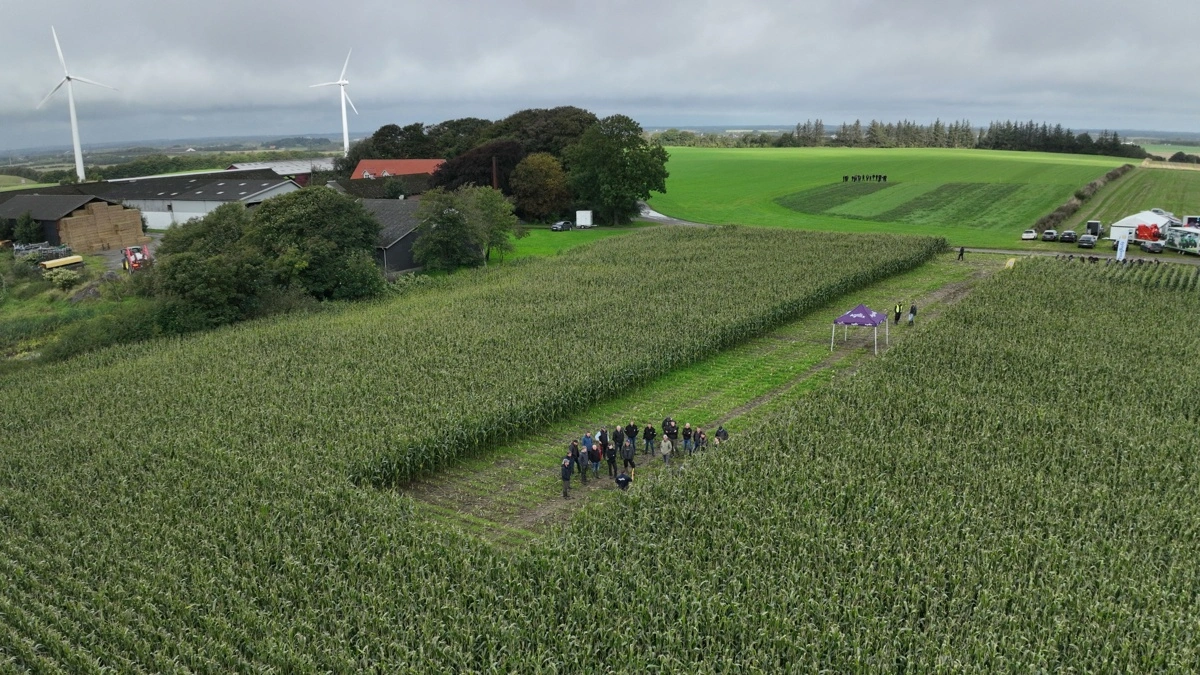Nørager Grovfoderdag 2025