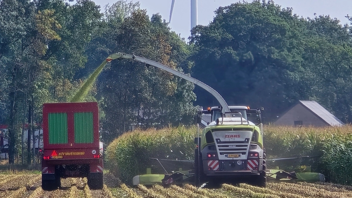 Trods stor travlhed med den nystartede majsensilering, har FDF indkaldt til protestmøder flere steder i Holland - blandt andet på onsdag i Friesland, hvor der forventes op mod 4.000 landmænd og 1.000 traktorer.