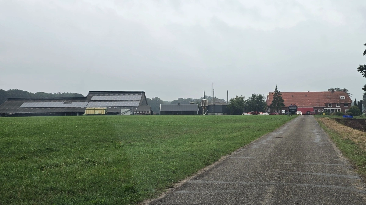 Erik Luitens kvæggård ved byen Aalten i det østlige Holland i fredags.