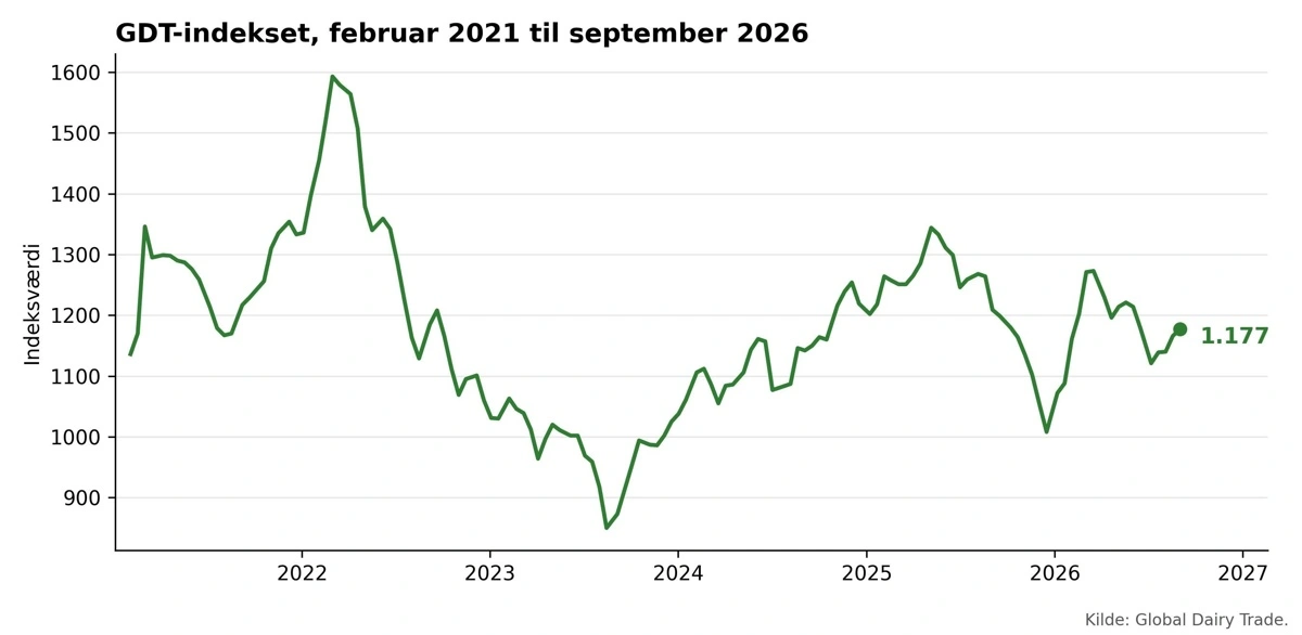Figur 1: Udviklingen i GDT-indekset fra februar 2021 til auktionen den 1. september 2026. Kilde: Global Dairy Trade.