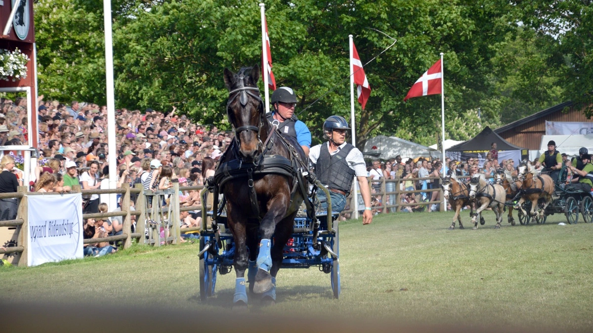 Arkivfoto: Camilla Bønløkke
