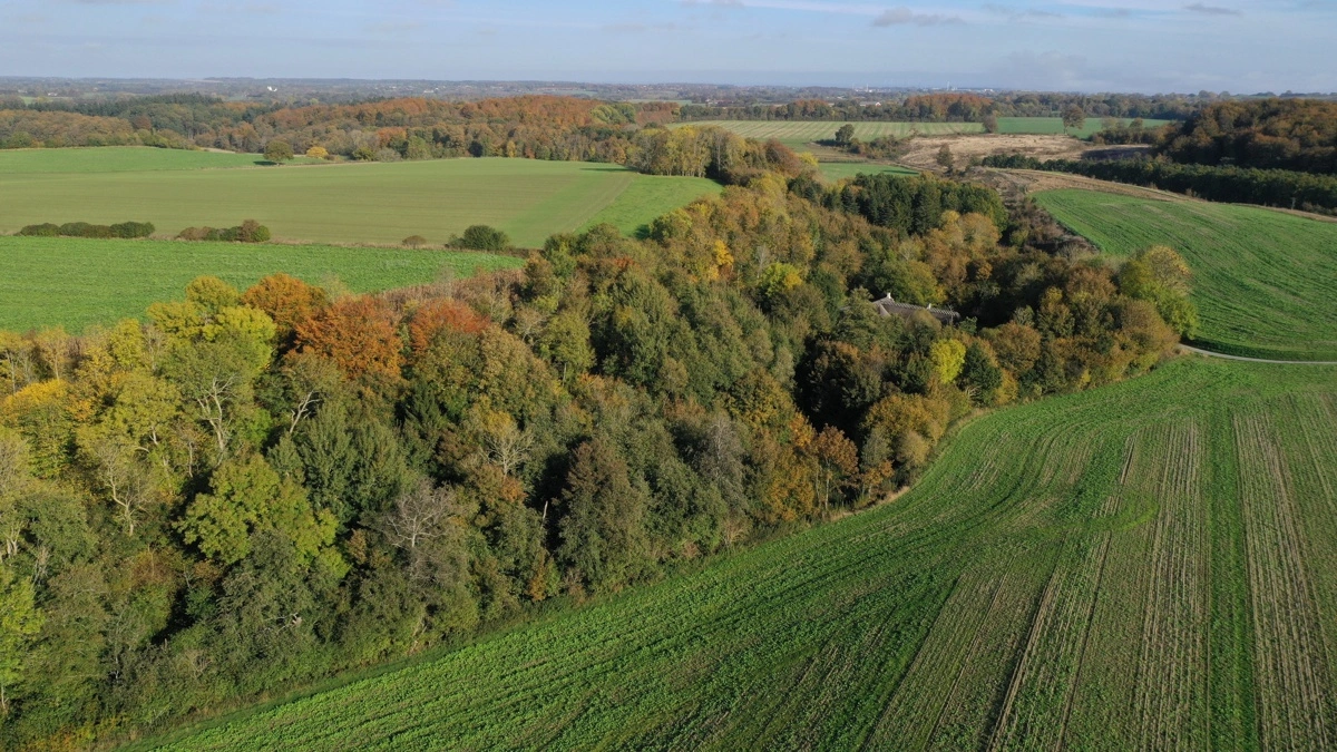 De danske marker skal om få måneder styres af modellen NAUR. Dronefoto: Per Jørgensen