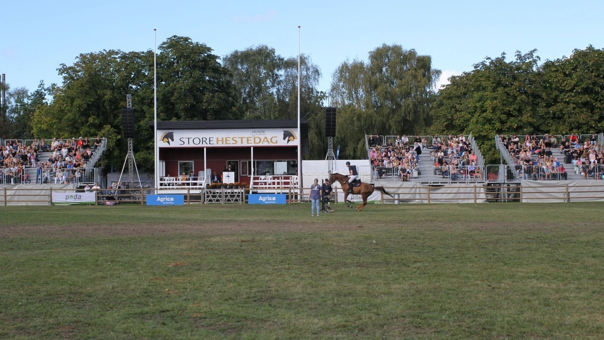 Der var over 29.000 besøgende til årets udgave af Store Hestedag, der traditionen tro fandt sted på Dyrskuepladsen i Roskilde.