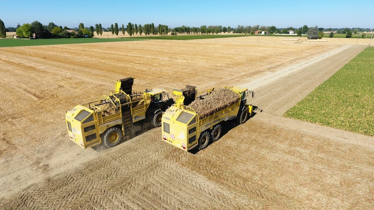 På afstand ligner de hinanden til forveksling, men på Sugar Beet Expo bliver det muligt at komme helt tæt på både optageren Ropa Tiger og den selvkørende pendlervogn Ropa Taurus.