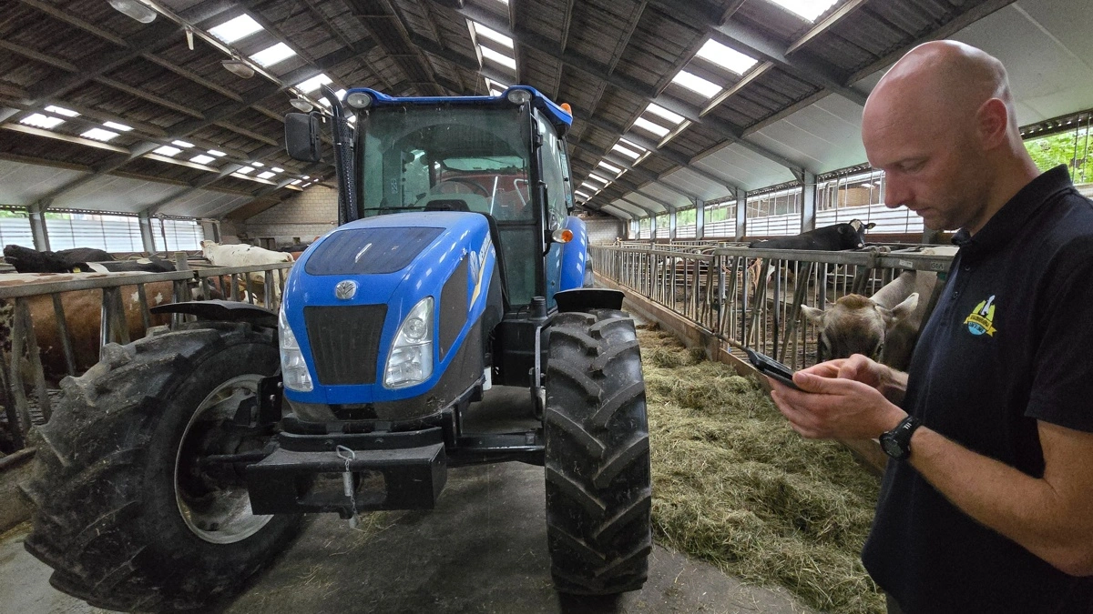Der fodres med slætgræs og indkøbt majsensilage.