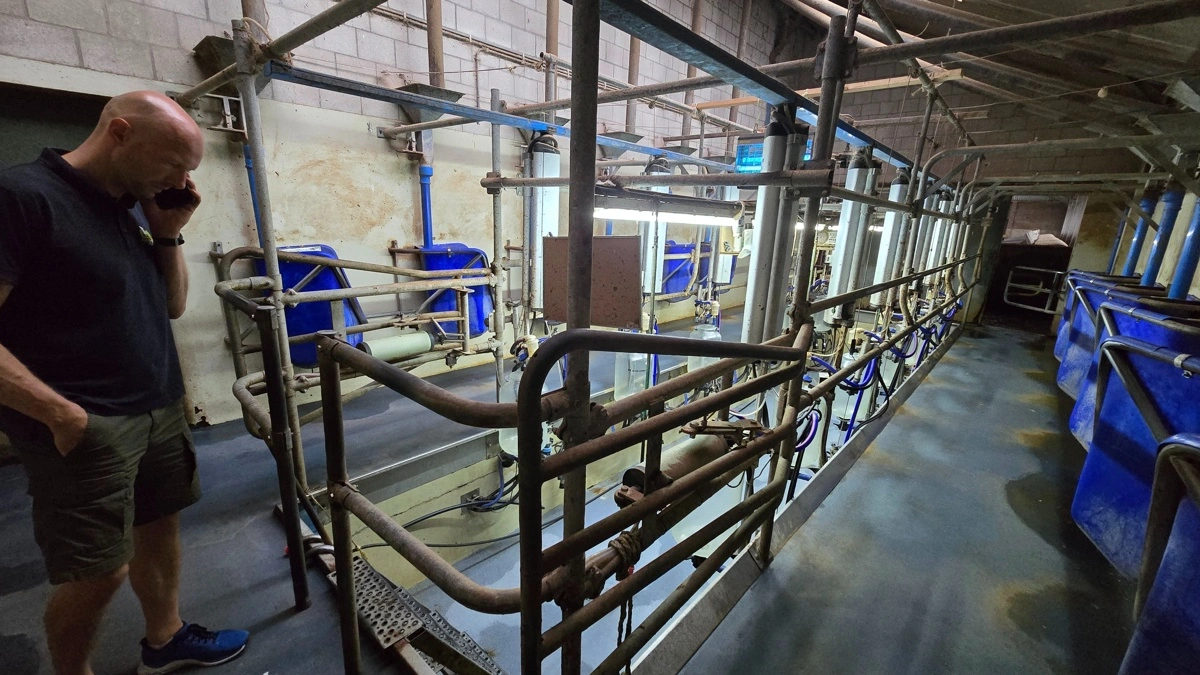 Bart Belser malker selv de fleste dage, ydelsen ligger omkring 10.000 kg pr. årsko med 4,3 i fedt og 3,65 i protein. Lige nu afregnes mælken til mejeriet med 3,00 DKr./kg.