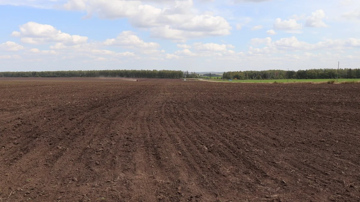 Mange hollandske landmænd har i de seneste år produktion i disse områder i det sydlige Rusland med stor succes. 