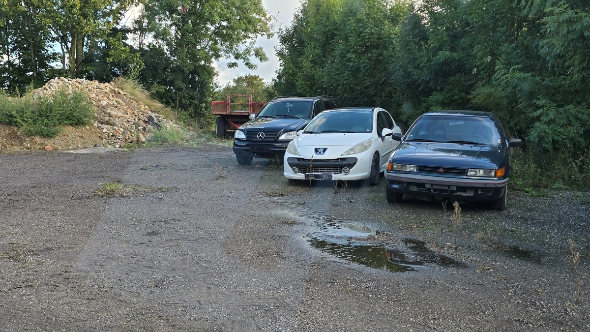 Det store problem med gæs og svaner har Claus Bay løst her i vinters ved at sætte ti gamle, brugte biler uden nummerplader ud mellem hvedemarkerne. Bilerne afholder simpelthen gæssene fra at slå sig ned.