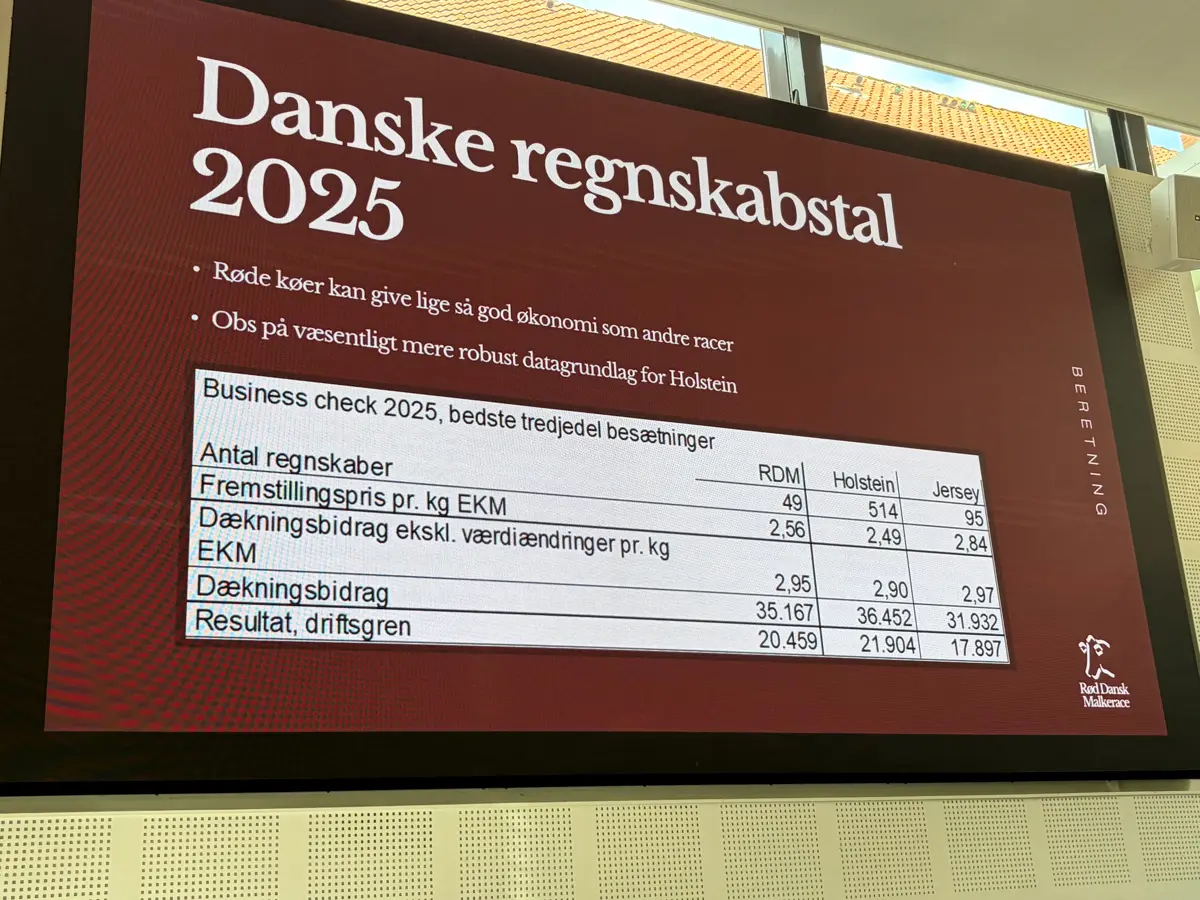 - Røde køer kan også give god økonomi, fastslog Johan Bebe. 