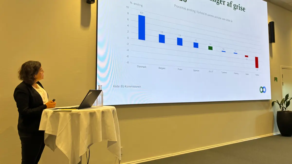 Chefkonsulent Sisse Villumsen Schlægelberger, Landbrug & Fødevarer, venter, at produktionen af grise vil falde og priserne stige markant i 2027. Foto: Lars Attrup
