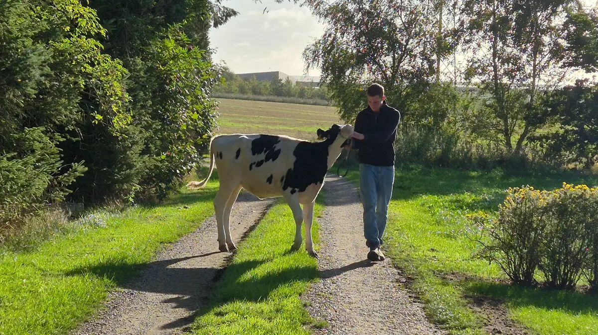 Noah har været til flere konkurrencer i mønstring, og inden længe går turen til Italien for at konkurrere med andre unge.