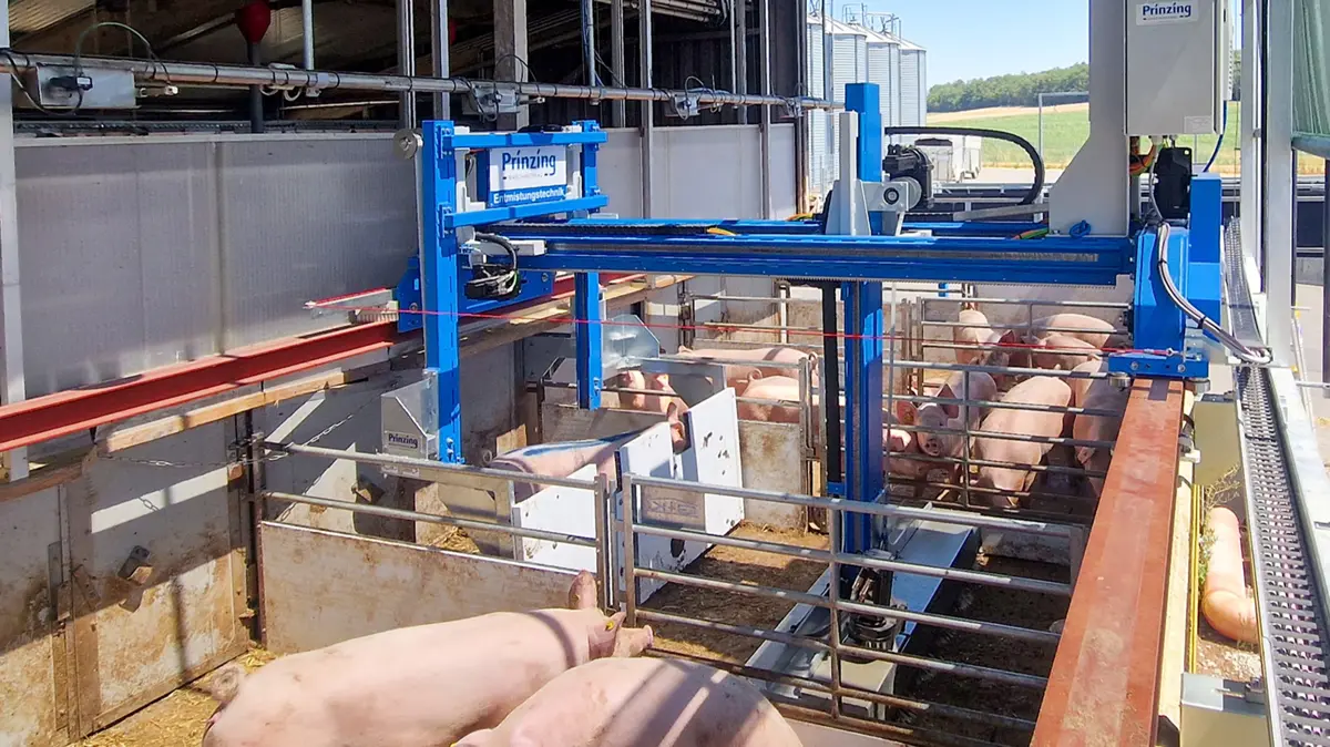 Pig-Barn-Cleaner fra Peter Prinzing får guld for automatisk udmugning af stiarealer og løbegårde med helt eller delvist fast gulv. En bevægelig stiadskillelse driver først grisene væk fra området. Derefter fjerner en rengøringsenhed med radialbørster gødningen, som opsamles i en tank og tømmes ved et afleveringssted.