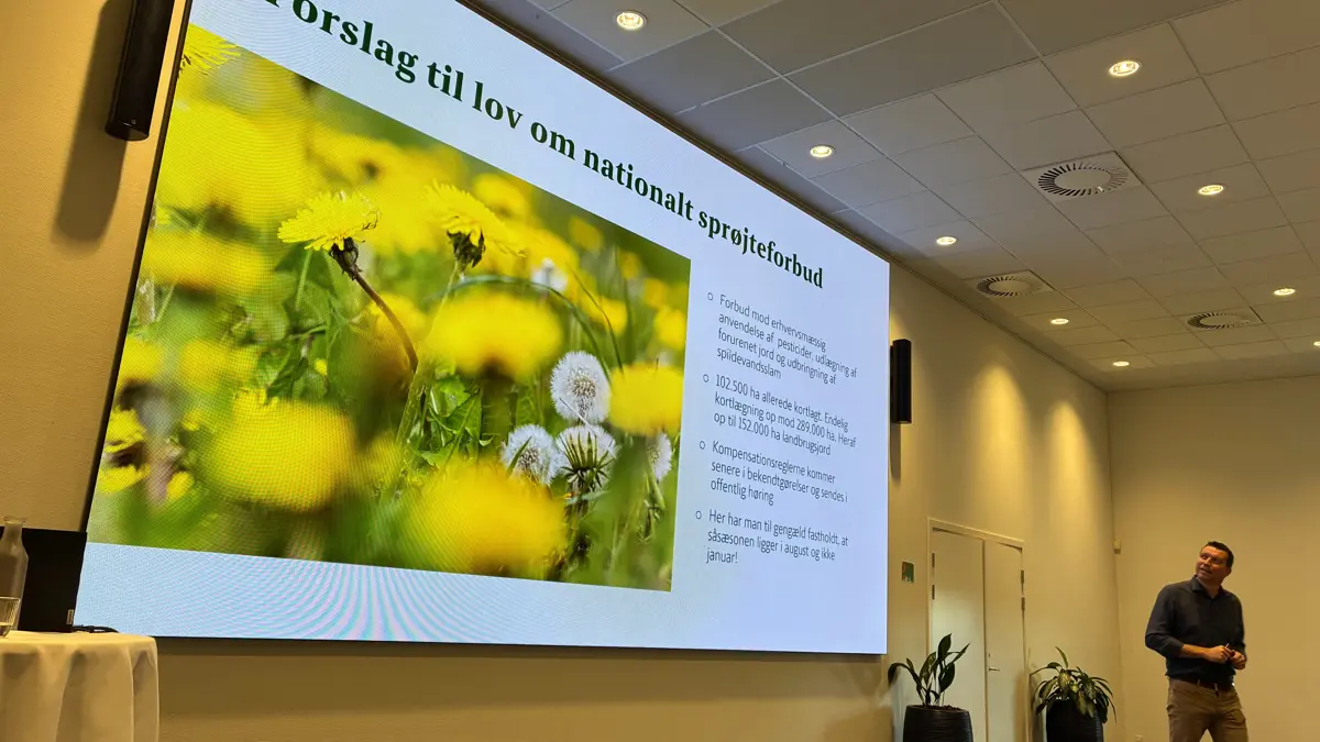 Søren Søndergaards bedrift afvander til tre kystvandoplande, der alle får regulering til braklægningspunktet. Foto: Lars Attrup
