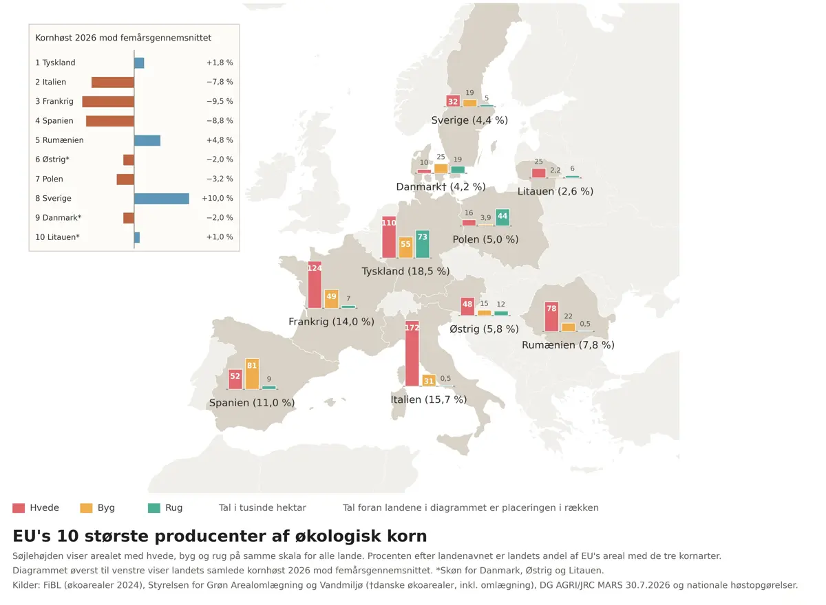 Figur 1: Oversigt over udbytteestimaterne blandt de ti største producenter af korn i EU. Tallene i parentes angiver, hvor meget det enkelte lands økologiske areal udgør af det samlede areal i EU. Kilde: FiBL, Styrelsen for Grøn Arealomlægning og Vandmiljø samt EU-Kommissionens landbrugsdirektorat.