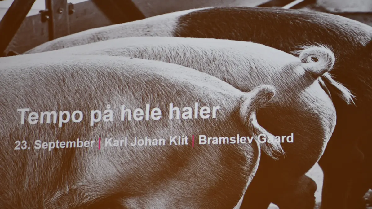 Hele haler var den røde tråd, da Topigs Norsvin samlede godt 80 griseproducenter, rådgivere, dyrlæger og leverandører til seminar på Bramslevgaard ved Hobro.