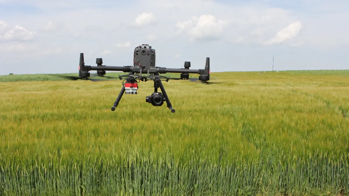 Ved en dronekortlægning bliver marken først overfløjet med et kamera, som optager højtopløselige billeder. Derefter analyserer platformen billederne og adskiller afgrøde, jord og ukrudt. Foto: Kasper Stougård