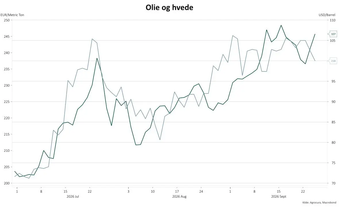Grafen viser hvedeprisen i euro pr. ton (venstre akse) og olieprisen i dollar pr. tønde (højre akse) fra 1. juli og frem til i dag.